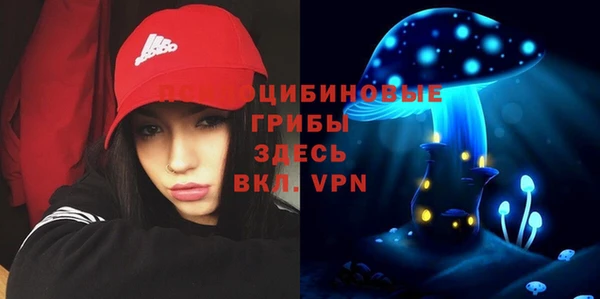 дурь Каменск-Шахтинский