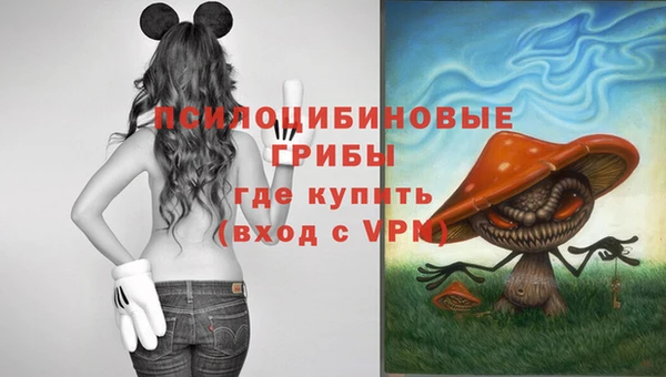 мяу мяу мука Каменногорск